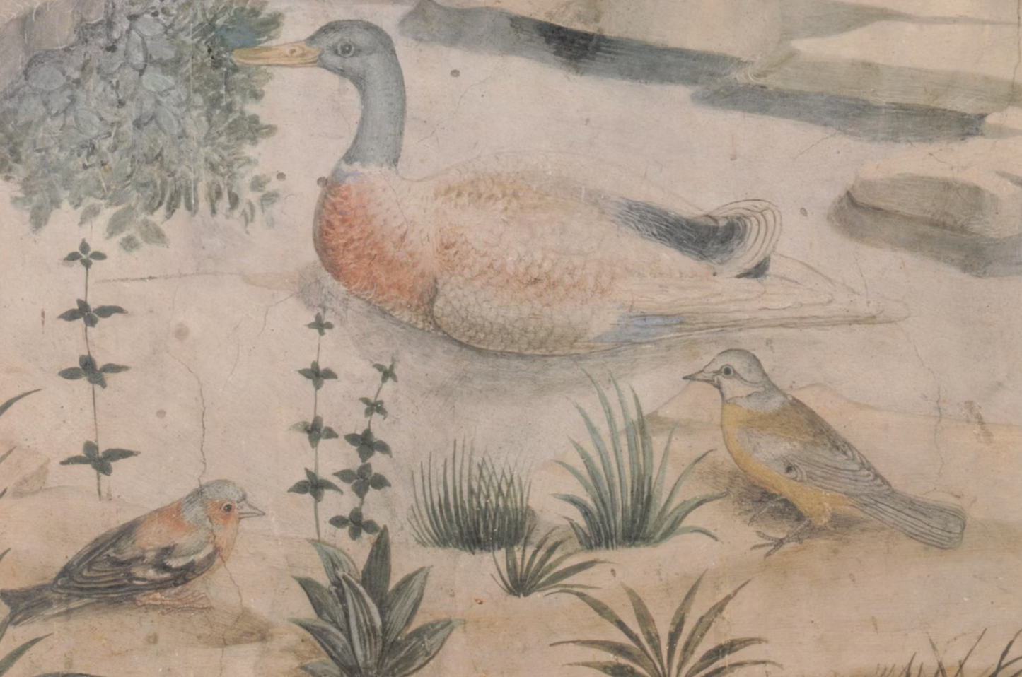 Offset Lithograph After Benozzo Gozzoli of Birds Around a Pond