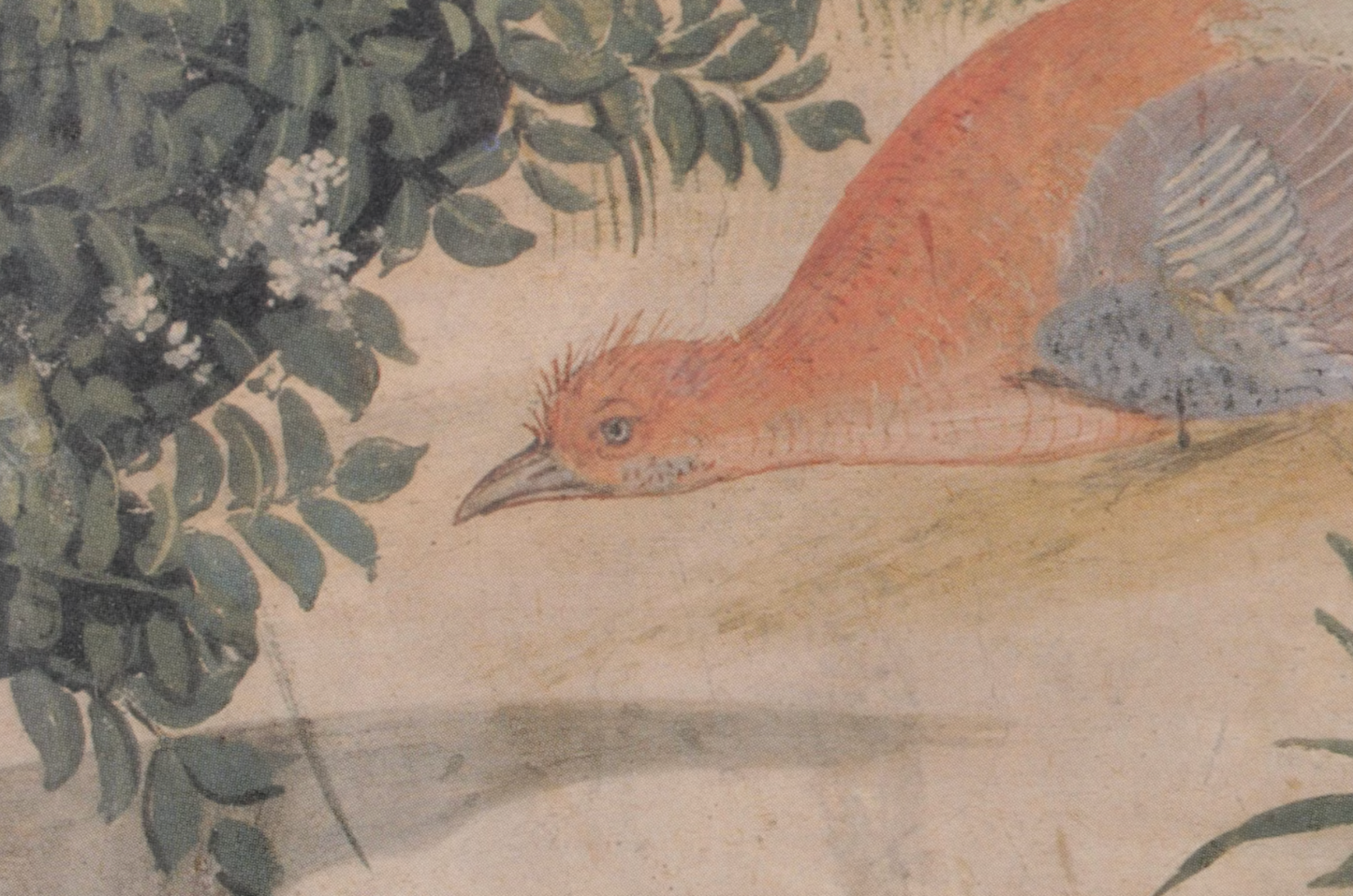 Offset Lithograph After Benozzo Gozzoli of Birds Around a Pond