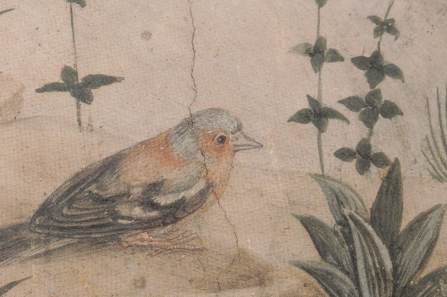 Offset Lithograph After Benozzo Gozzoli of Birds Around a Pond